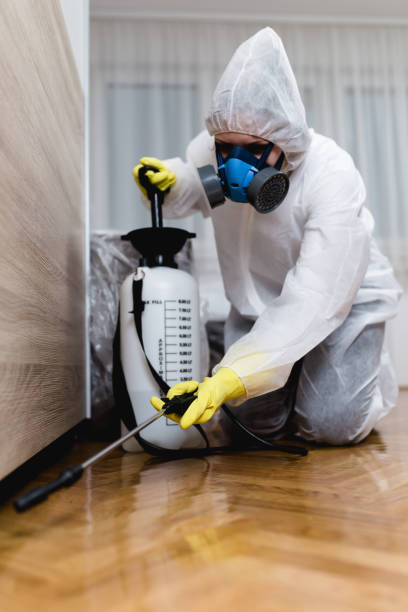 Best Pest Exclusion Services  in Belle, MO